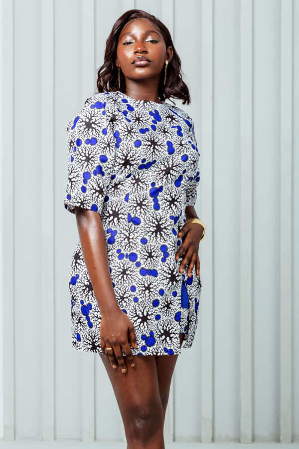 IlSA - Image 2